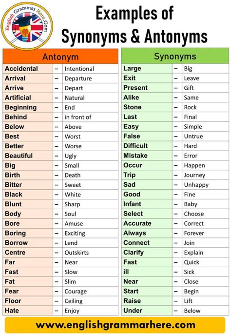 synonyms and antonyms for examine.